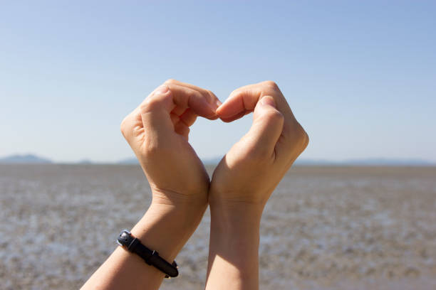 istock Heart shape made of two beautiful palms 864976750