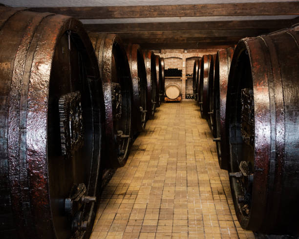 istock Underground storage with old wooden barrels 864977160
