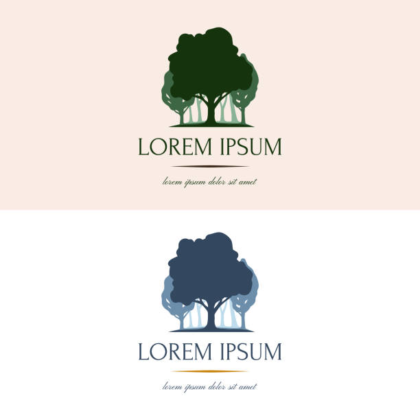 ilustraciones, imágenes clip art, dibujos animados e iconos de stock de vector silueta de un árbol y el bosque. logotipo de naturaleza clara y concisa, emblema de su empresa, negocio - álamo árbol