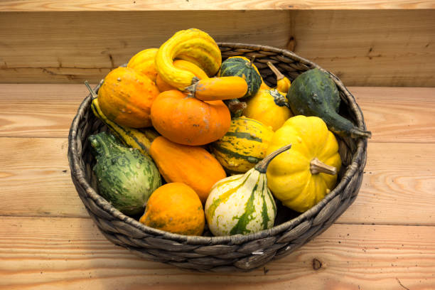 istock Rustic Still Life of Ornamental Pumpkins 864984784