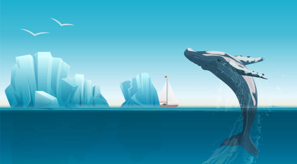 kartenvorlage mit wal springen unter der blauen ozean-oberfläche in der nähe von eisbergen. winter-arktische vektor-illustration. island. - beluga whale stock-grafiken, -clipart, -cartoons und -symbole