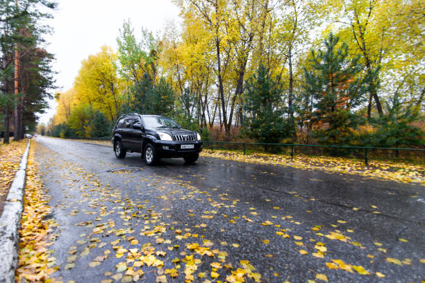 Sofia, Bulgaria - May 25, 2024: A dark SUV is parked on a foggy forest road, surrounded by lush green trees in the early morning light.