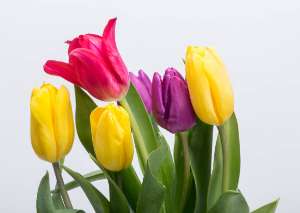 istock Flower bouquet from colorful tulips 864991432