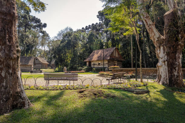 Bosque do Papa (Pope's Wood) - Curitiba, Parana, Brazil Curitiba, Brazil - Aug 28, 2017: Buildings at Bosque do Papa (Pope's Wood), a public park in Curitiba, Parana, Brazil pope john paul ii stock pictures, royalty-free photos & images