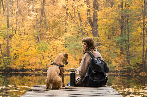 Young female person and her staffordshire terrier puppy having a rest by the lake on beautiful october day of indian summer