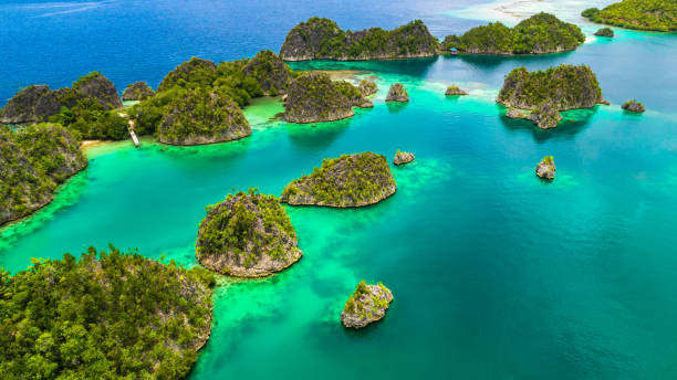 istock Pianemo islands. Raja Ampat, West Papua, Indonesia. 865001092