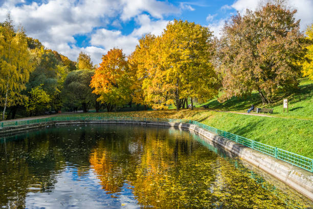 istock A pond in an autumn park reflecting yellow trees 865002980