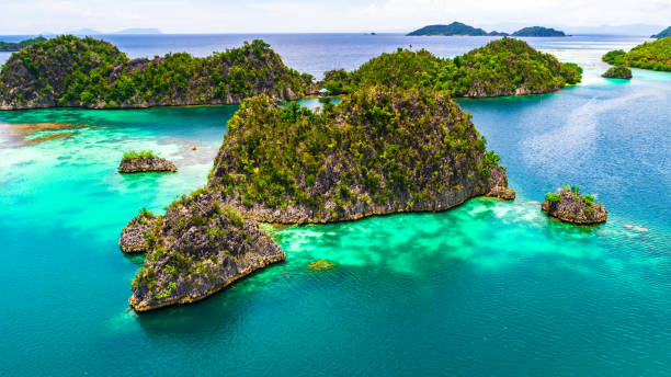 istock Pianemo islands. Raja Ampat, West Papua, Indonesia. 865003108