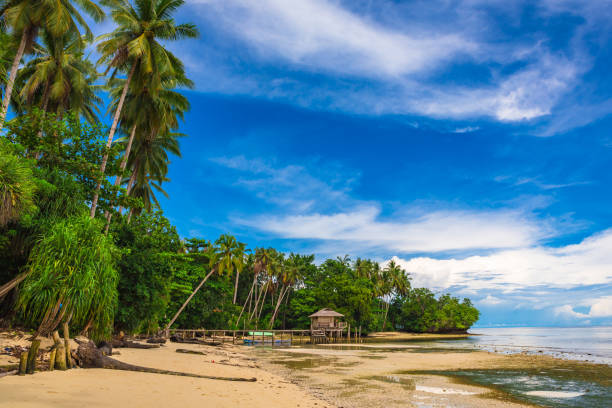 istock Beach in Raja Ampat, West Papua, Indonesia. 865006792