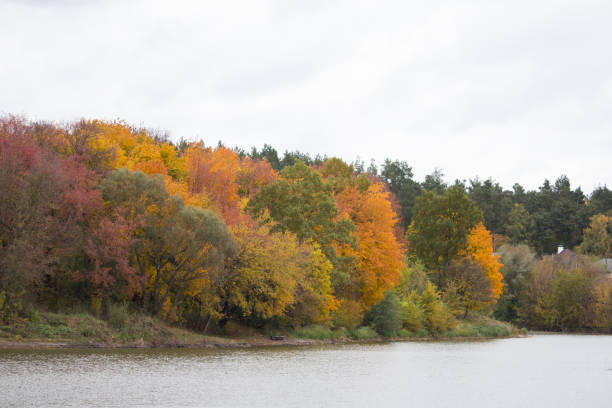 colors of autumn