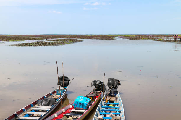istock Longtail boat parking at Thale Noi Waterbird Park 865009666