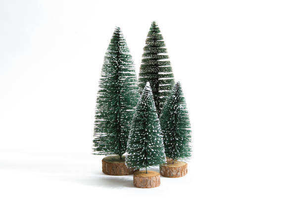istock group of snow firs 865029054