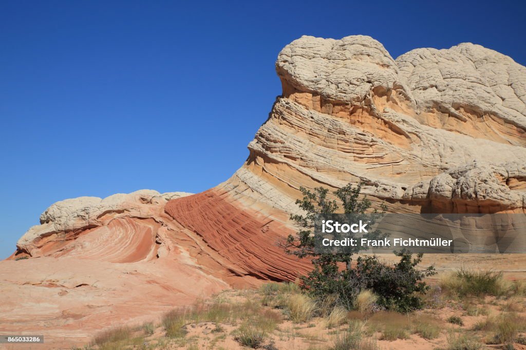 Túi Trắng Trong Đài Tưởng Niệm Quốc Gia Vermilion Cliffs Arizona Hình Túi Trắng Trong Đài Tưởng Niệm Quốc Gia Vermilion Cliffs Arizona Hình