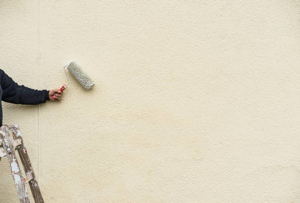 istock Painter man on ladder with paint roller working on exterior wall 865036220