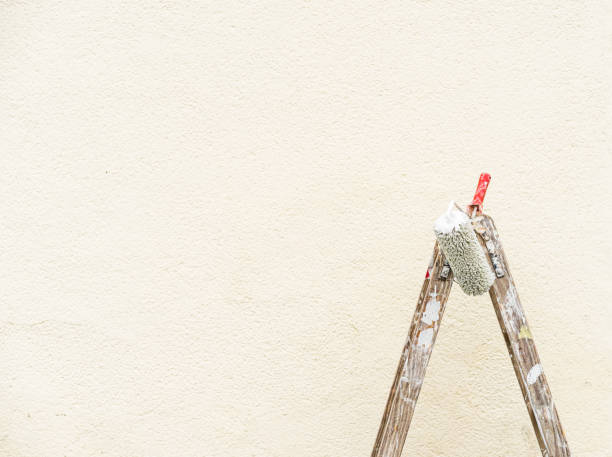 istock Painter ladder with paint roller in front of an exterior wall 865036260