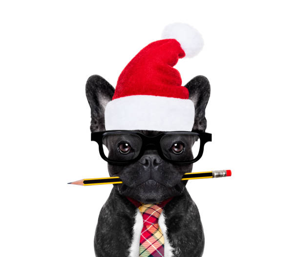 istock dog office worker on christmas holidays 865036526
