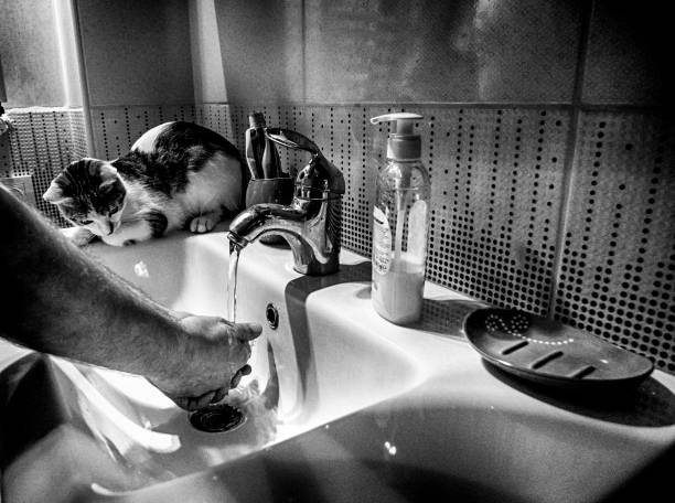 She knows the time and whenever I go into the bathroom to brush my teeth and wash my face before bedtime, she sits on the sink and watches what I'm doing