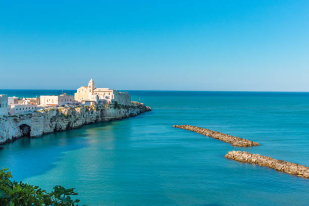 istock Vieste view, Apulia,south Italy 865036580