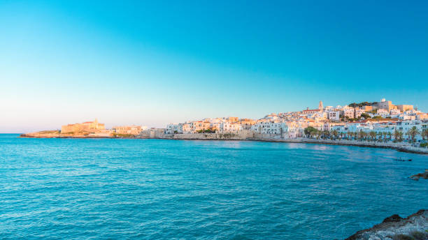 istock Vieste view, Apulia,south Italy 865037810