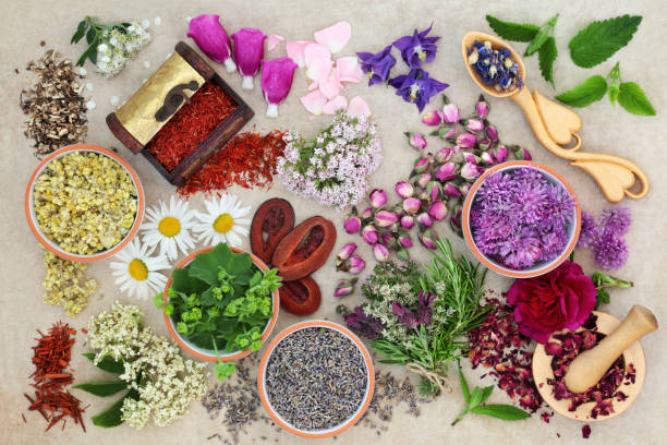 istock Herbs for Alternative Herbal Medicine 865039046