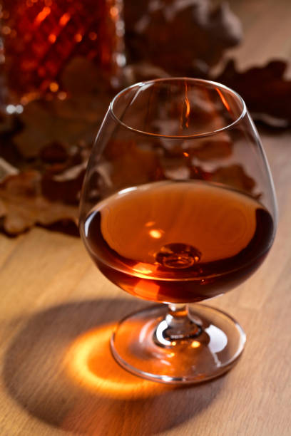 istock Brandy and dried up oak leaves . 865041966