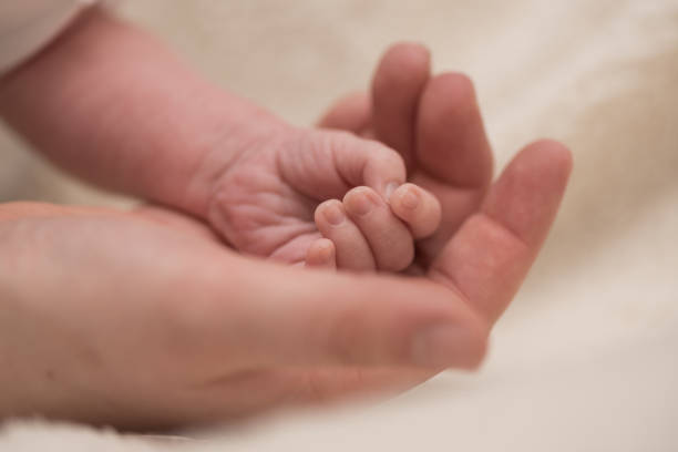 familiar hands - mother and baby