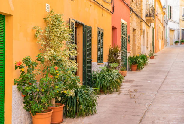 istock Spain Majorca, house doorway with potted plants 865046066