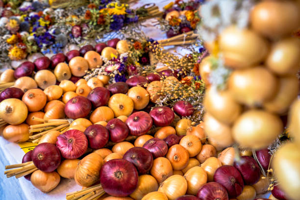 trecce di cipolla nel mercato tradizionale di weimar, germania - radice intrecciata foto e immagini stock