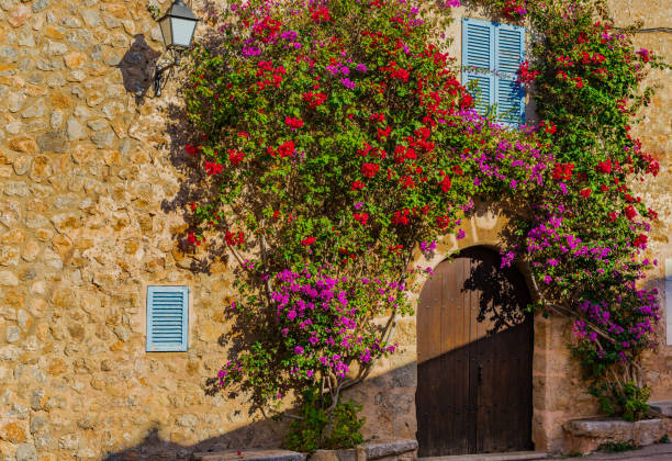 istock Mediterranean house front view with romantic blooming bougainvillea 865052664