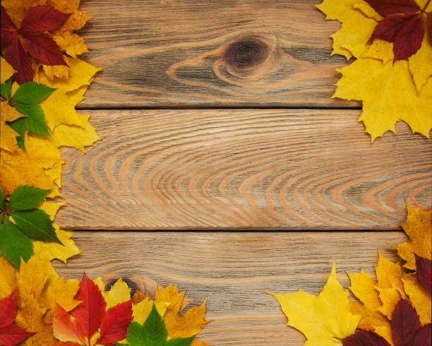 istock Autumn leaves on wooden table 865055400