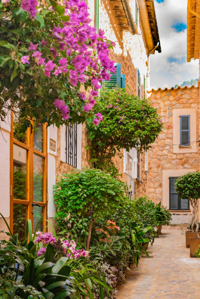 mallorca, calle en la vieja aldea mediterránea fornalutx - fornalutx majorca spain village fotografías e imágenes de stock