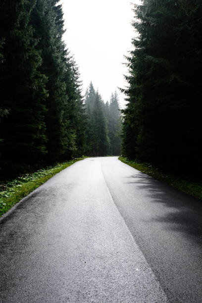 istock empty road in the countryside in autumn 865060116