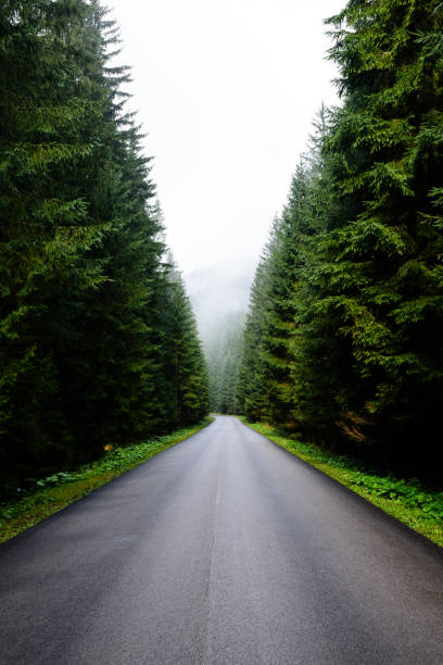 istock empty road in the countryside in autumn 865060166