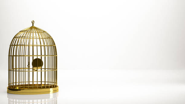 istock golden 3d rendering of a cage inside a studio 865060338