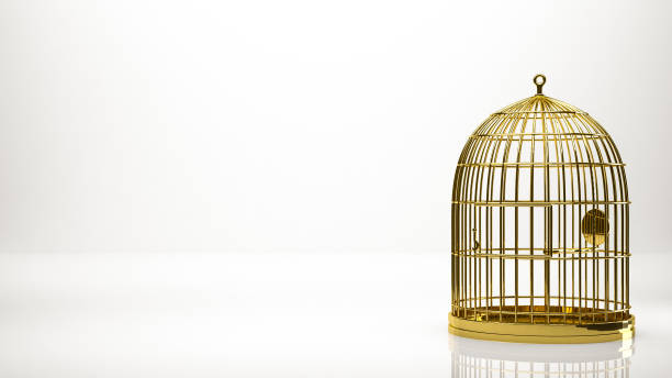 istock golden 3d rendering of a cage inside a studio 865062498