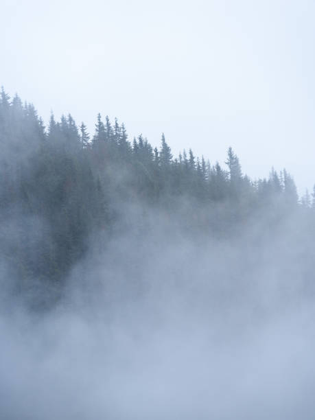 istock panoramic view of of mountains in misty forest 865062522
