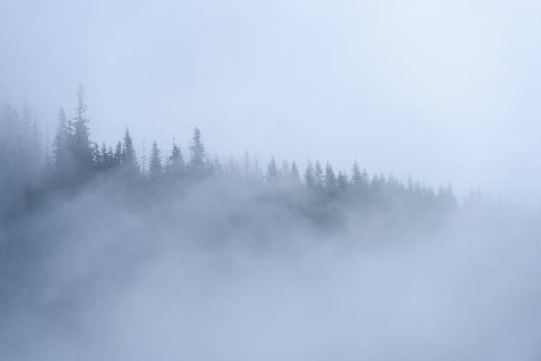 istock panoramic view of of mountains in misty forest 865062726