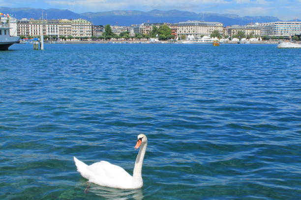 Geneva and Lake, Switzerland