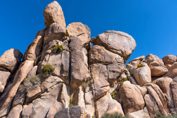 istock Rock Pile and Blooming Rabbit Brush in Joshua Tree National Park 865067236
