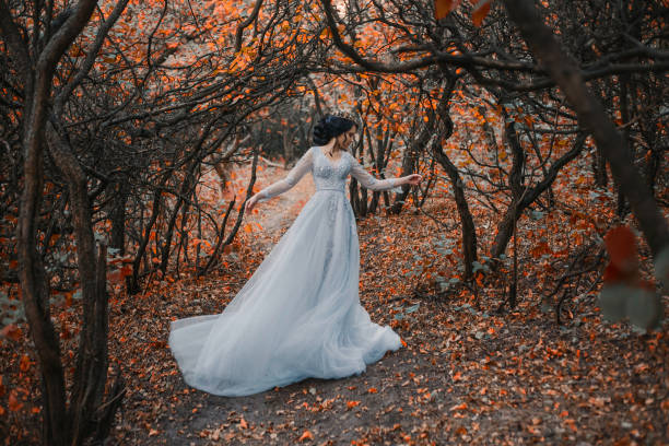 A brunette girl, with a royal hairdo in a luxurious, silver dress. The background is a grim autumn. Artistic Photography