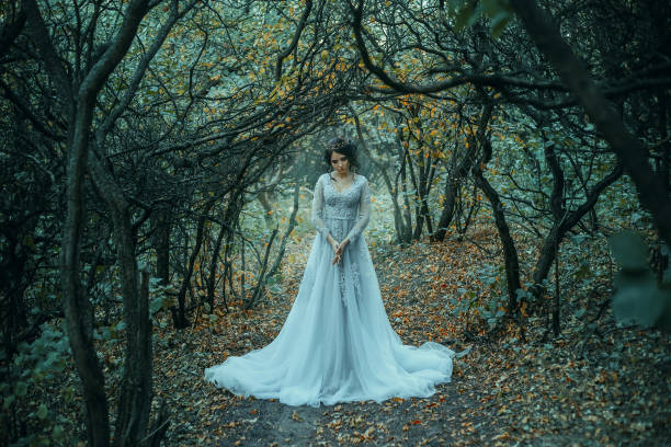 A brunette girl, with a royal hairdo in a luxurious, silver dress. The background is a grim autumn. Artistic Photography