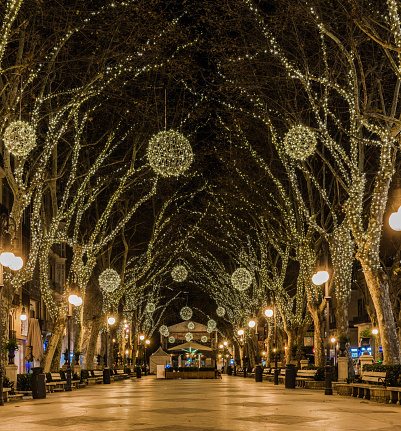 Christmas lights at night in Palma de Mallorca, illuminated Passeig des Born Avenue.