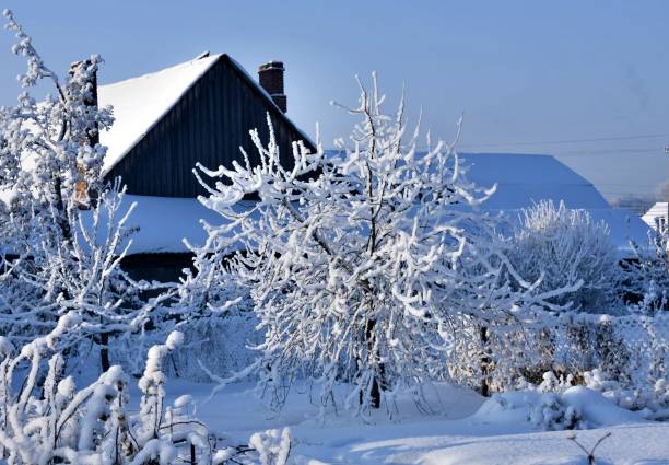landscape with garden trees covered with fluffy white snow, South Ural
