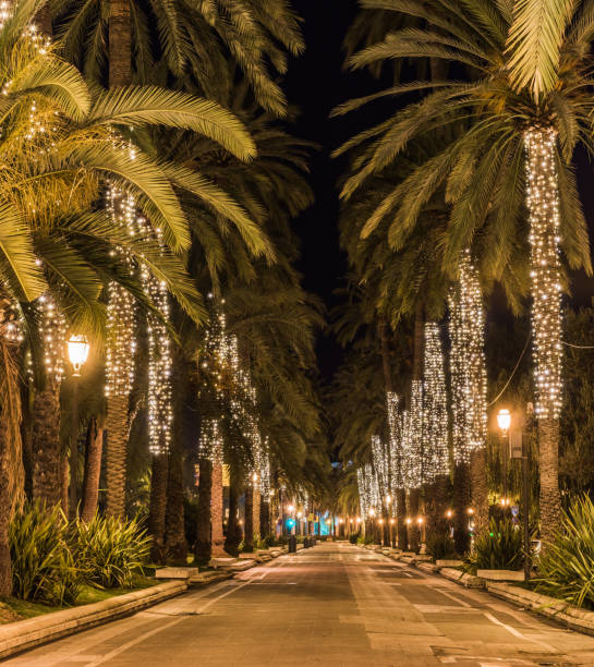 istock Illuminated Christmas tree in the city Palma de Majorca, Spain 865073710