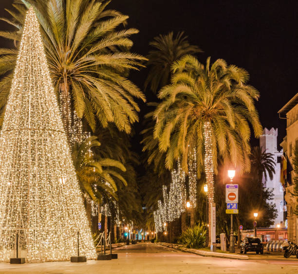 istock Illuminated Christmas tree in the city Palma de Majorca, Spain 865073746