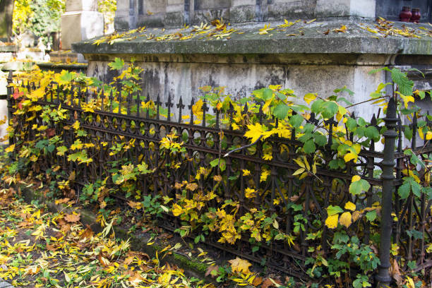 istock Old rusty metal fence at cemetery 865074006