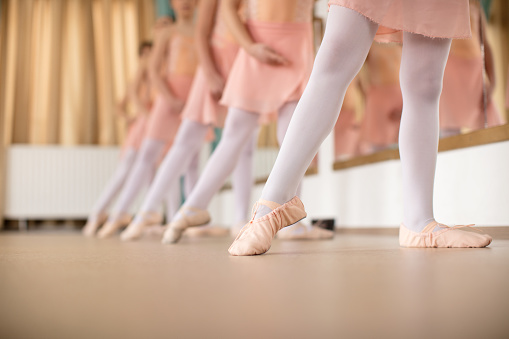 Group of little girl ballerinas on ballet class in dance studio practicing ballet