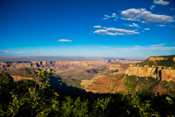 Grand Canyon North Rim at dusk