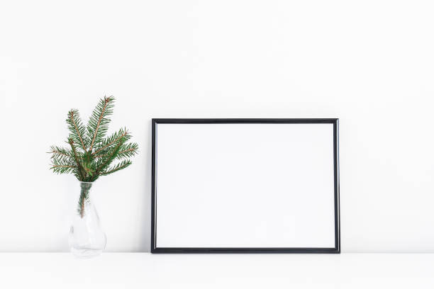 Black frame and christmas tree branches. Front view Christmas composition. Black frame and christmas tre branches on white background. Front view, mock up, copy space scandinavian descent photos stock pictures, royalty-free photos & images