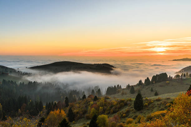 monte grappa-veneto-treviso-italy 35 - bridle path foto e immagini stock